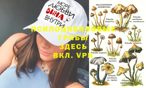 мескалин Алексеевка