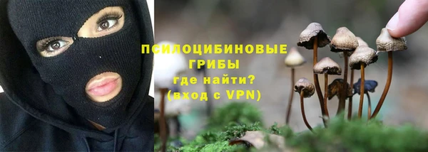 метадон Вяземский