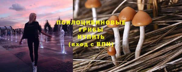 PSILOCYBIN Алексин